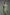 ESTELLE dress, green