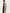 MOREON 3/4 sleeve cardigan, light beige